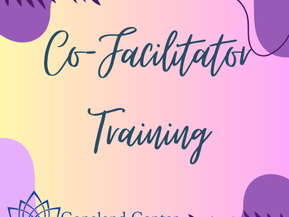 Co-Facilitator Training