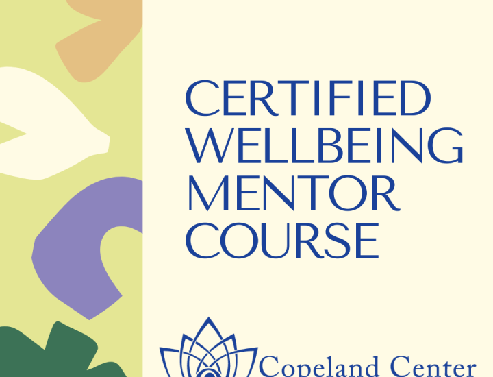 Certified Wellbeing Mentor Course