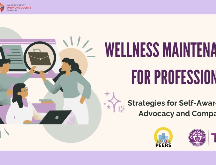 Wellness Maintenance for Professionals