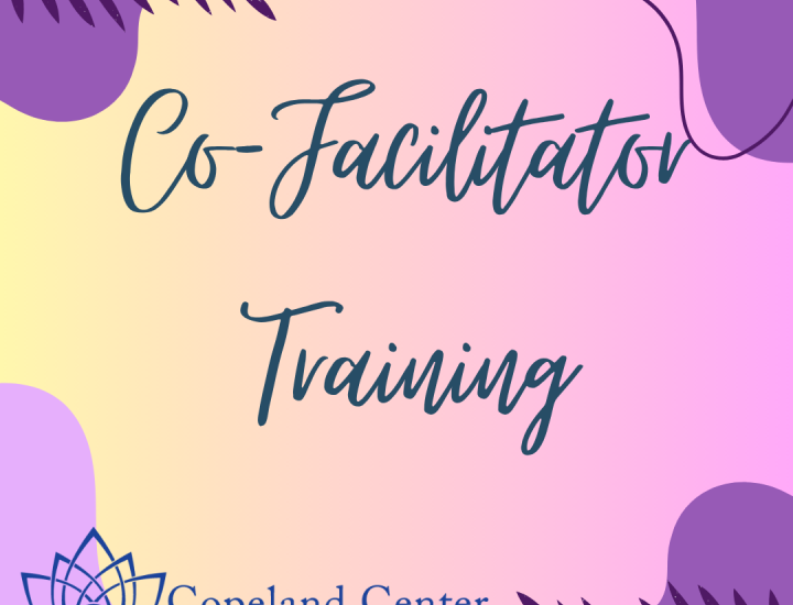 Co-Facilitator Training