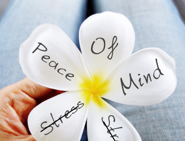 flower with the words peace of mind