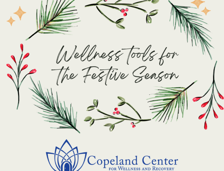 Wellness Tools for the Festive Season